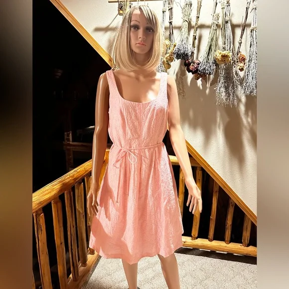 Pappagallo Pink Scoop Neck Sleeveless Dress sz 12 - Picture 2 of 6